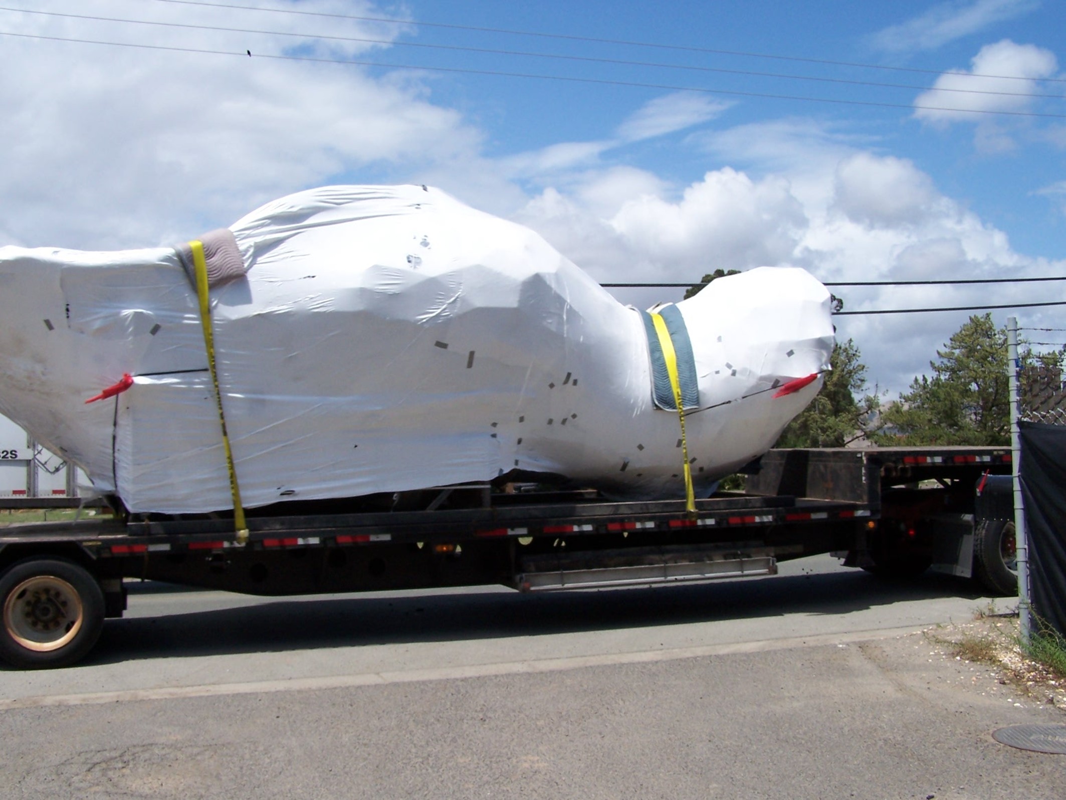 leg component of bear on a flatbed truck